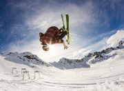 开云体育登录-张本智和点燃赛场，奥地利队完胜波兰队展团队实力