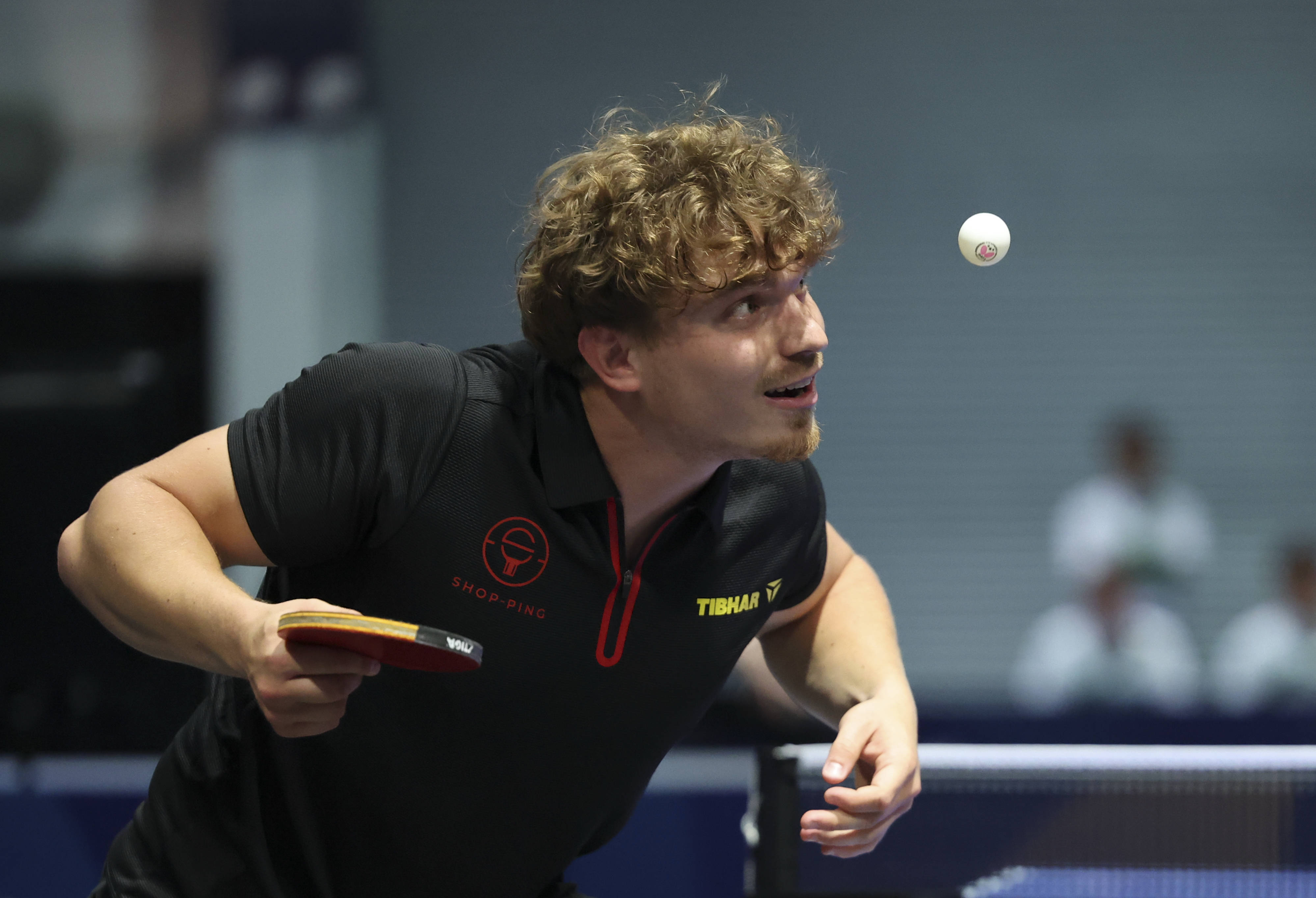 关于比利时乒乓球队轻取法国乒乓球队,马龙送出助攻的信息 关于比利时乒乓球队轻取法国乒乓球队,马龙送出助攻的信息