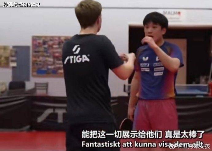 瑞典乒乓球队碾压德国乒乓球队,张本智和爆发神勇的简单介绍 瑞典乒乓球队碾压德国乒乓球队,张本智和爆发神勇的简单介绍