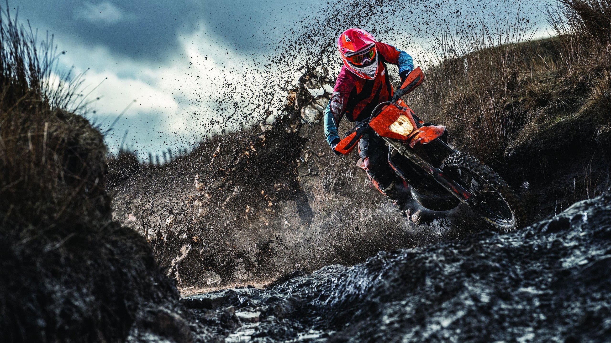 赛道上的逆袭,梅赛德斯逆转威廉姆斯,维斯塔潘扛起全队